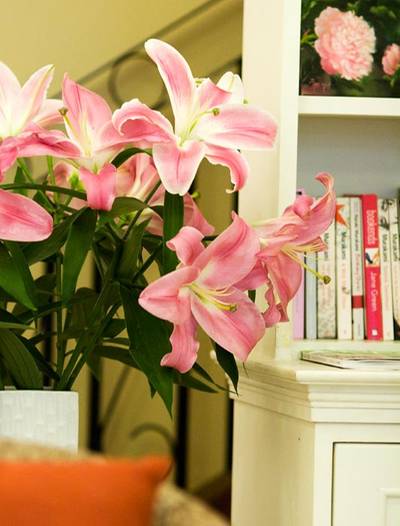 lilly.jpg ที่ ร้านอาหาร Peony Teafe' & Gallery