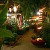 รูปจากเวป ที่ ร้านอาหาร สวนอาหารสบาย สบาย