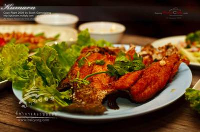 รูปจากเวป ที่ ร้านอาหาร ร้านบาลียอง (Baliyong)