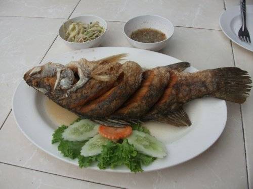 รูปจากเวป ที่ ร้านอาหาร ลา แม