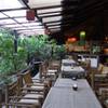 รูปจากเวป ที่ ร้านอาหาร สถานีใบไม้