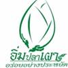 อิ่มปลาเผา ดอนเมือง อิ่มปลาเผา ดอนเมือง