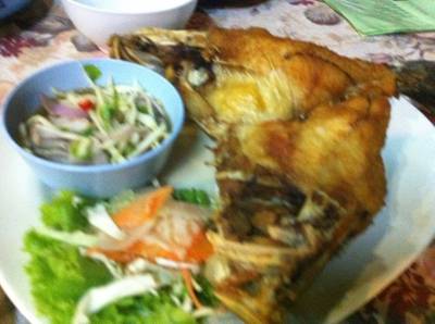 ร้านอาหาร ต้นไทร