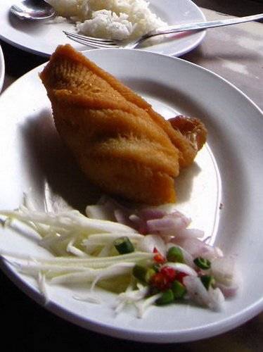 ปลาทอด ที่ ร้านอาหาร ติ๊กโภชนา