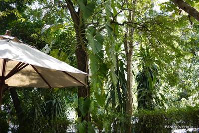 ร้านอาหาร ขวัญจิตร