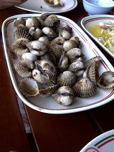 หอยแครงงงงงง~(บรื๋ออออ) ที่ ร้านอาหาร วังมุข