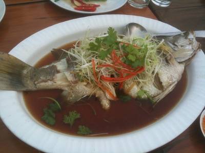 ปลากระพงนึ่งซีอิ๊ว ที่ ร้านอาหาร บ้านกลางน้ำ 2