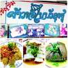 อร่อย เด็ด!!! ที่ ร้านอาหาร ร้านข้าวห่อใบบัวลุงชู