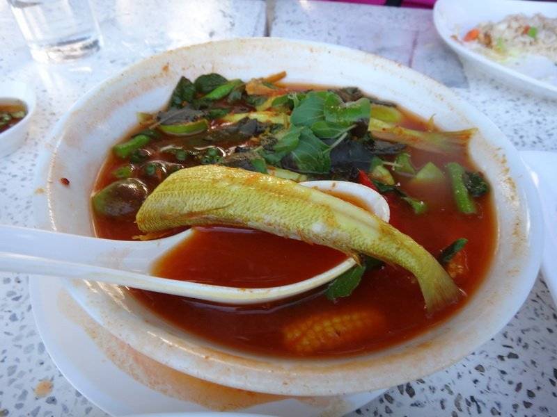 แกงป่าปลาเห็ดโคน ที่ ร้านอาหาร ปลาทู