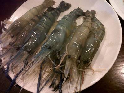 กุ้งสดๆ ที่ ร้านอาหาร Daichan Giants ยากินิกึ ไดจัง