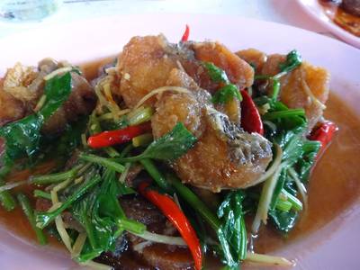 ปลาม้าผัดคึ่นไช่ ที่ ร้านอาหาร ลุงลอยป่าลั่น & White House