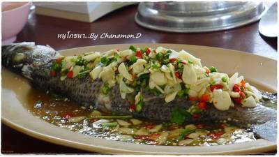 ปลานึ่งมะนาว ที่ ร้านอาหาร หนู โภชนา