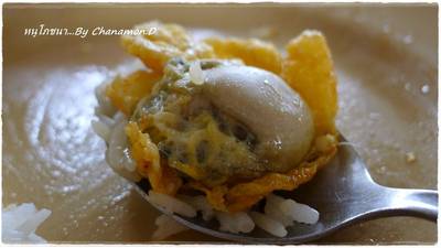 หอยตัวโตมาก ๆ ค่ะ ที่ ร้านอาหาร หนู โภชนา