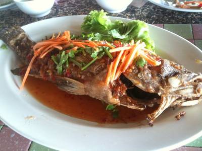 ปลาเก๋าสามรส ที่ ร้านอาหาร เปิ้ล ซีฟู้ด (Ple Seafood)