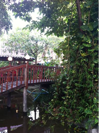 ร้านอาหาร ช่อชะมวง ร้านอาหาร ช่อชะมวง