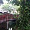ร้านอาหาร ช่อชะมวง