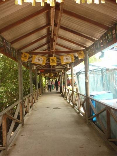 ทางเดินเข้าร้าน ที่ ร้านอาหาร เคียงเล ซีฟู๊ด
