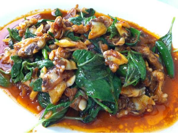 หอยลายผัดพริกเผา ที่ ร้านอาหาร ไชยโรจน์