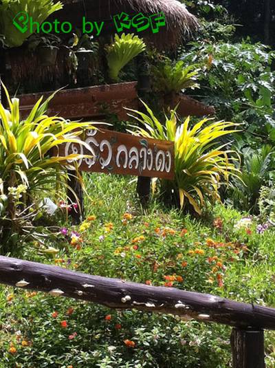 ร้านอาหาร ครัวกลางดง