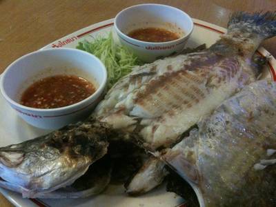 ปลากระพงเผาเกลือ ที่ ร้านอาหาร ซ้ง โภชนา คลองสาน