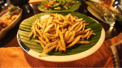 รถด่วน ที่ ร้านอาหาร บ้านไร่ยามเย็น