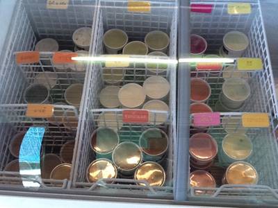 หลากหลายรสชาด ธรรมดา 29 บ.
พิเศษ รำเรซิ่น 35 บ. ที่ ร้านอาหาร Niece Homemade Ice Cream
