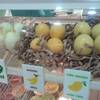นี่แหละไอศครีมรูปไข่ ที่ ร้านอาหาร I-maru