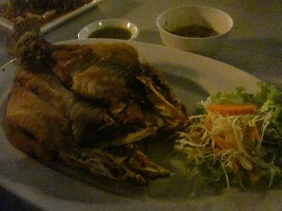 ปลากระพงทอดราดน้ำปลา ที่ ร้านอาหาร AM IN BAR