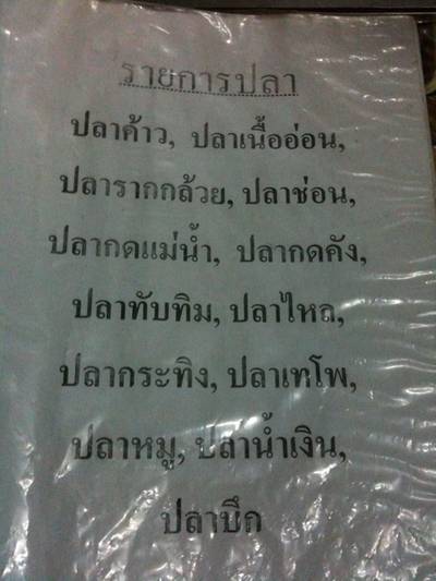 ปลาที่ทางร้านมี ที่ ร้านอาหาร ร้านอาหารลุงจ้อย