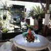 ร้านอาหาร ร้านก๋วยเตี๋ยวน้าบุญ