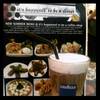 ice latte' ที่ ร้านอาหาร It's Happened To Be A Closet Siam Paragon