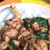 กระเพราไก่ใข่ดาว ที่ ร้านอาหาร ก๋วยจั๊บญวน