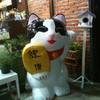 ร้านอาหาร สุขสถาน