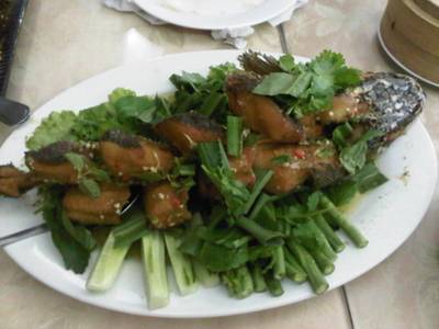 ปลาช่อนทอดลุยสวน 250บาท ที่ ร้านอาหาร สวนกุหลาบ