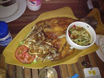 ปลากระพงทอดน้ำปลา  ที่ ร้านอาหาร เจี๊ยบ บังกาโลว์