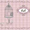 Nan P.
