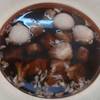 ได้แล้วววว ที่ ร้านอาหาร ก๋วยเตี๋ยวเนื้อตุ๋น รางน้ำ