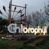 Chlorophyll Chlorophyll