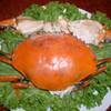 ร้านอาหาร ภัตตาคารหยก คิทเช่น