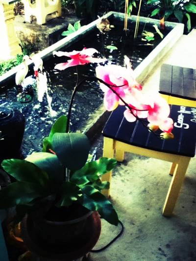 มุมสวยๆหน้าร้าน ที่ ร้านอาหาร Soom-hua Coffee&milk