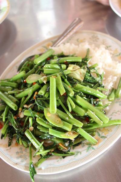 ผักบุ้งไฟแดงราดข้าว ที่ ร้านอาหาร แพวัดแหลม