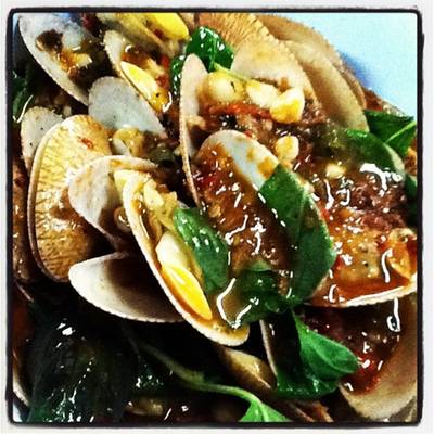 หอยลายผัดพริกเผา สดหวานน่าทานมาก ที่ ร้านอาหาร ป.โภชนา