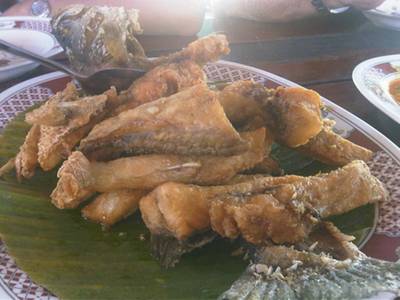 ปลากระพงทอดน้ำปลา ที่ ร้านอาหาร ลานเท ปลากระพงทอดน้ำปลา ที่ ร้านอาหาร ลานเท