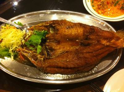 ปลากระพงทอดน้ำปลา ที่ ร้านอาหาร สมบูรณ์โภชนา จุฬาซอย 8