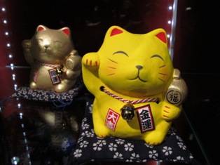 น้องเหมียวอาริกาโตะ ที่ ร้านอาหาร Okashi By Poonni Festival Walk