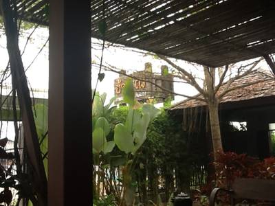 ข้าวเฝ่ ที่ ร้านอาหาร ข้าวแฝ่