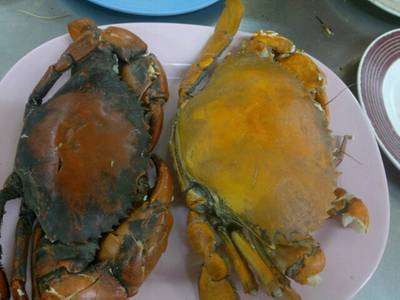 ร้านอาหาร เจ๊ไข่ ประชาชื่น