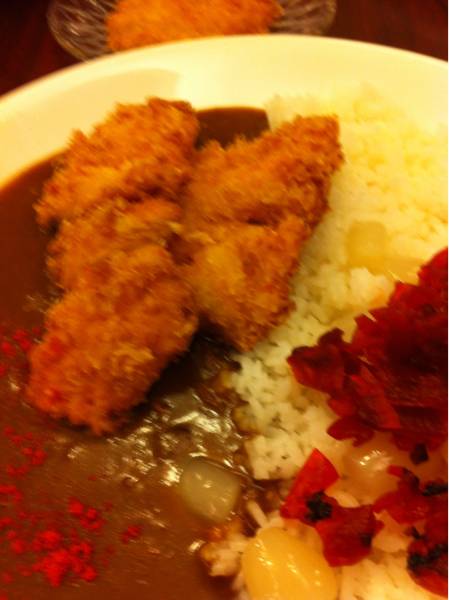 ข้าวแกงกะหรี่แซลมอน ที่ ร้านอาหาร Aoringo