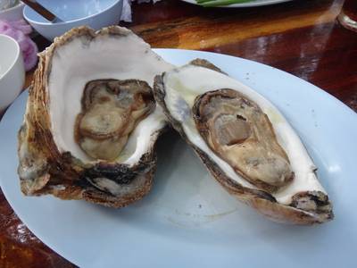 หอยตะโกรง ที่ ร้านอาหาร ฟาร์มปูนิ่ม
