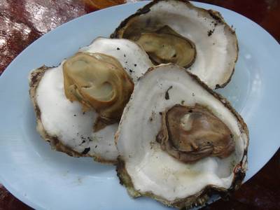 หอยตระโกรงเผา ที่ ร้านอาหาร ฟาร์มปูนิ่ม